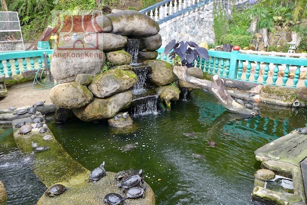 彭亨云顶高原清水岩庙Pahang Genting Highlands Chin Swee Caves Temple Building9